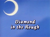 Sailor Moon R: Diamond in the Rough